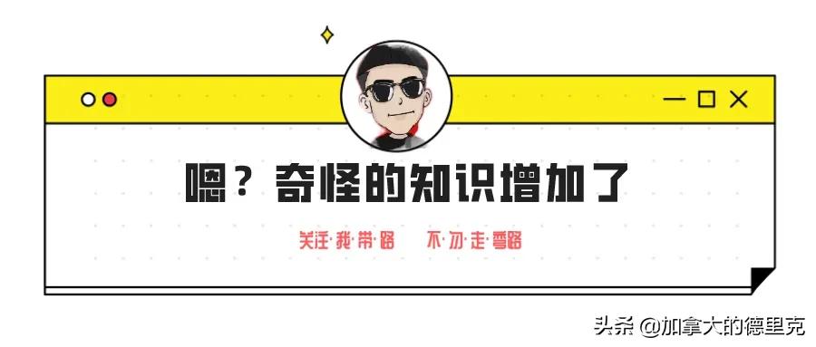 加航最新信息，飞行中的温馨日常体验