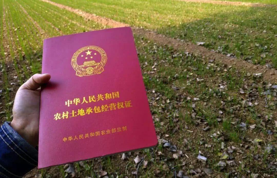 律师最新情况,律师最新情况，行业趋势、挑战与前景展望