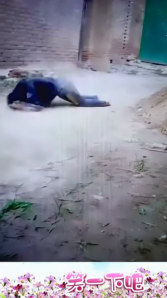 最新蛆爬视频，观看与学习指南