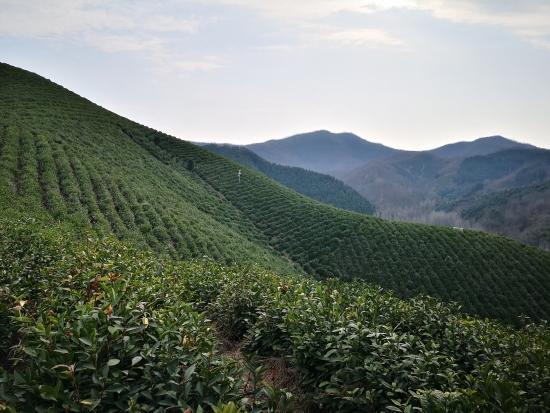 罗山疫情下的自然之旅，探寻内心宁静与欢笑的轨迹