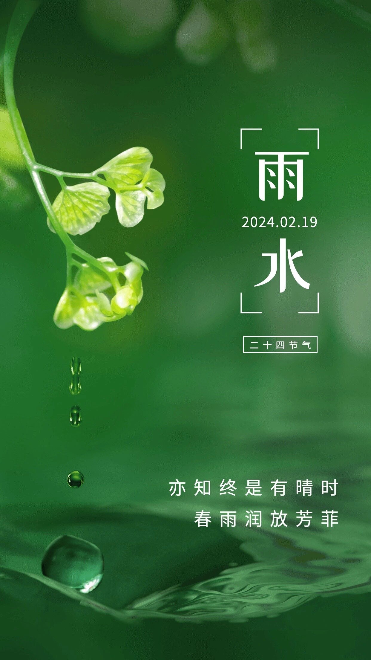 自然之美与科普探讨，最新雨水图片欣赏