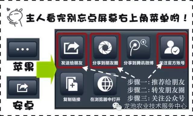 2024最新奥马资料,快速解决方式指南_未来科技版3.603
