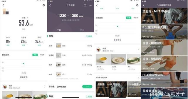 7777888888管家精准管家婆免费,数据导向计划_进口版16.721