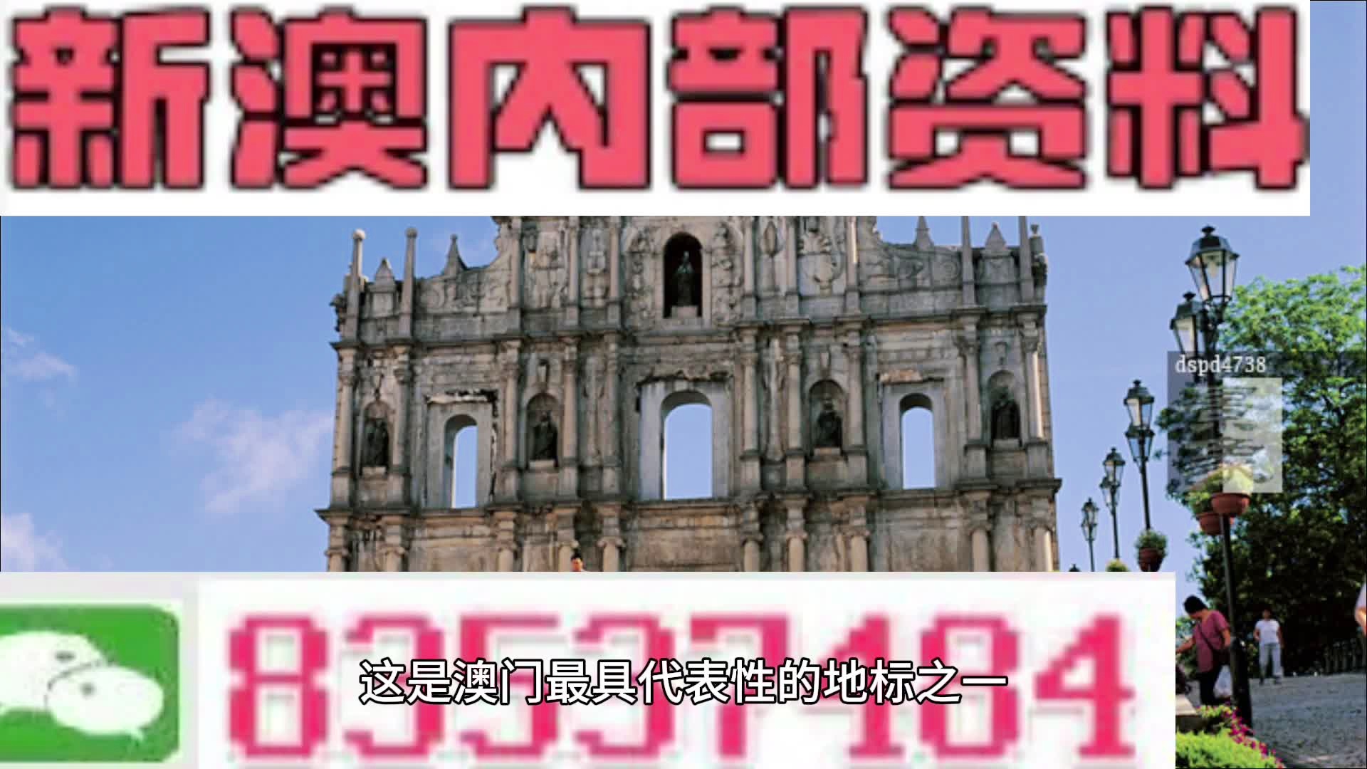 新澳2024年最新版资料,新式数据解释设想_交互版92.265