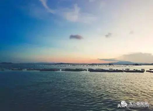诏安湾特大桥建设最新进展更新
