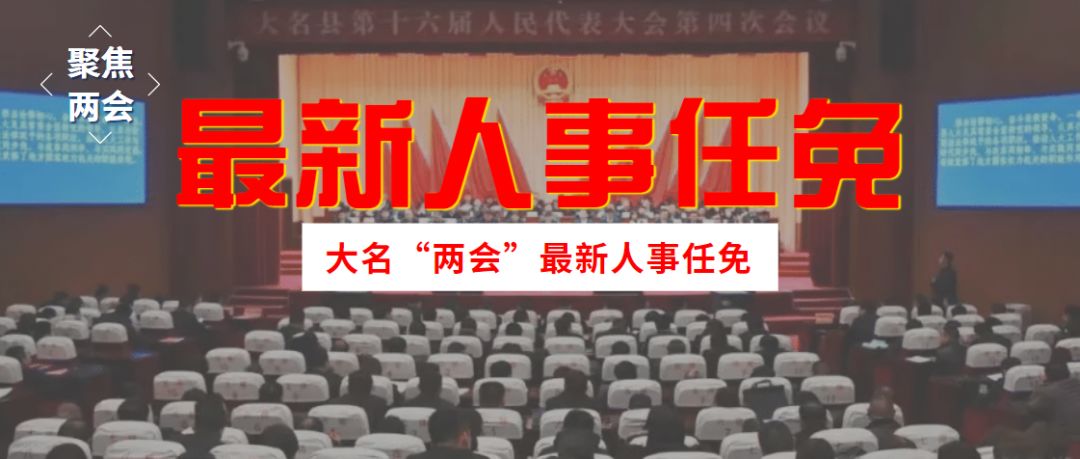 最新任命揭晓，引领未来，共筑辉煌新篇章