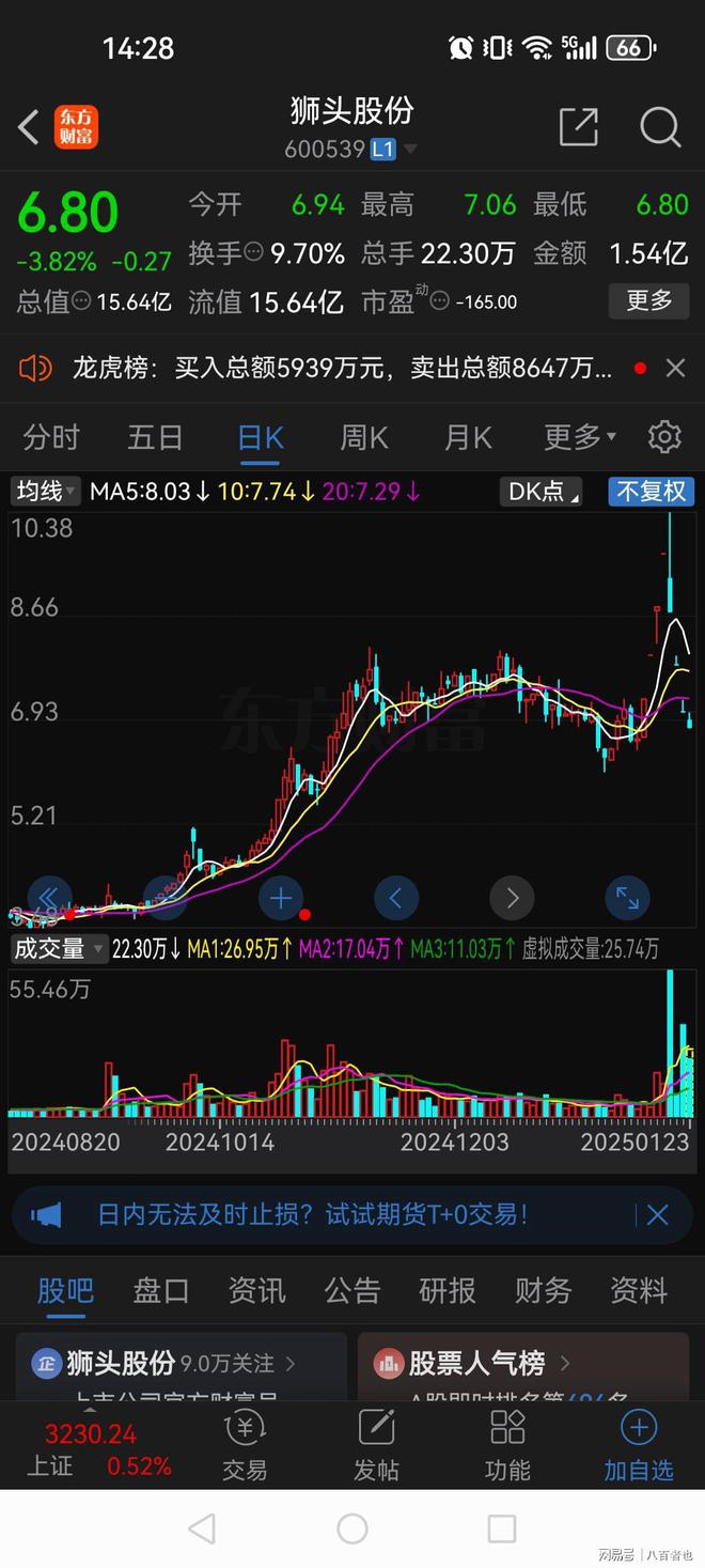 狮头股份股票，高科技重塑未来之梦的力量之源