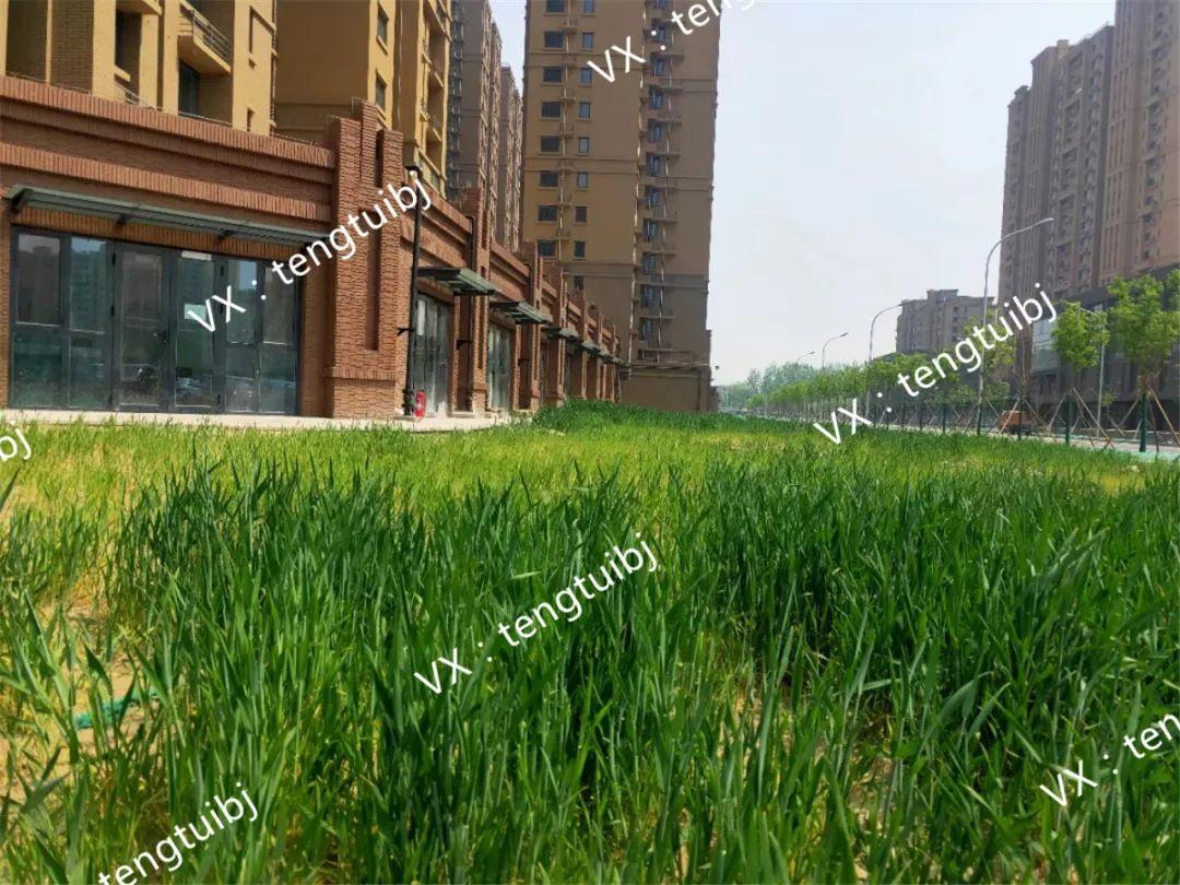 华翰福园最新信息,华翰福园最新信息概览