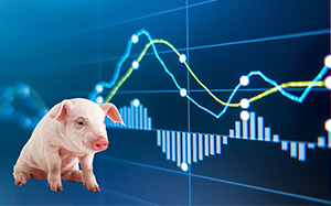 山东今日生猪最新价格获取与理解指南