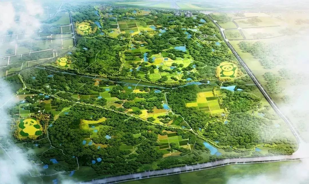 双流黄甲最新规划建设，描绘未来城市的宏伟蓝图