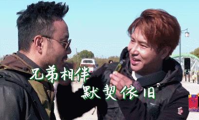 欧弟最新动态，拥抱自然，启程心灵探索之旅