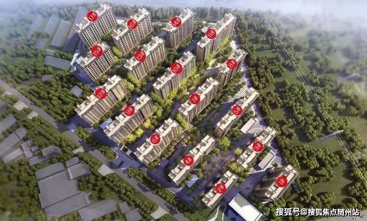 中山基龙最新招聘信息，邻里小英雄的日常故事揭秘