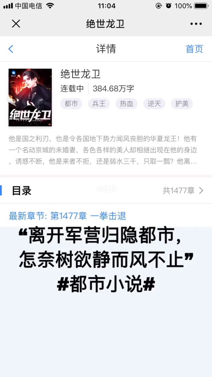 时代背景下的英雄传奇，龙天绝卫青岚最新章节预览