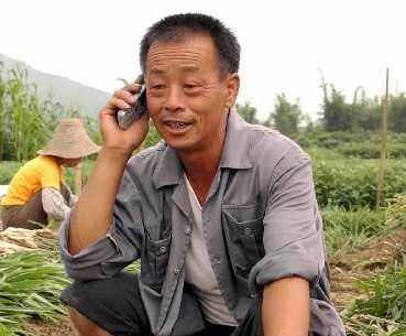 顶级农民王鸣最新更新动态揭晓！