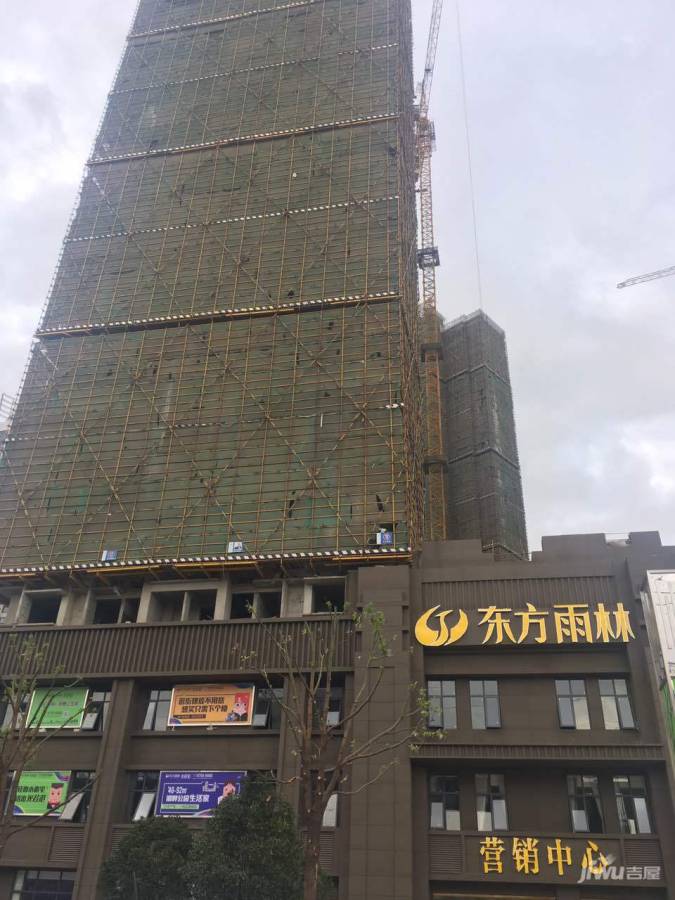 江夏东方雨林最新消息揭秘，科技前沿重塑热带雨林生活体验的未来展望