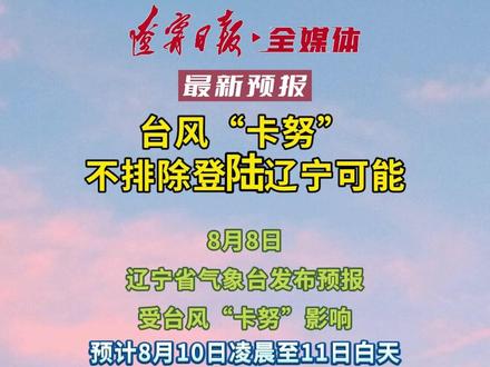 辽宁台风最新消息更新，台风动态及影响分析
