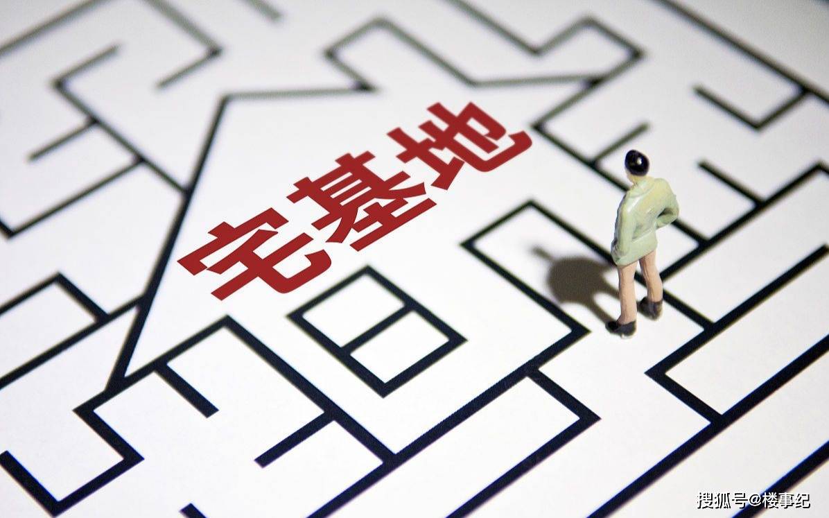 宅出新风尚，最新种子让生活绿意盎然，宅宅出新生机🌱