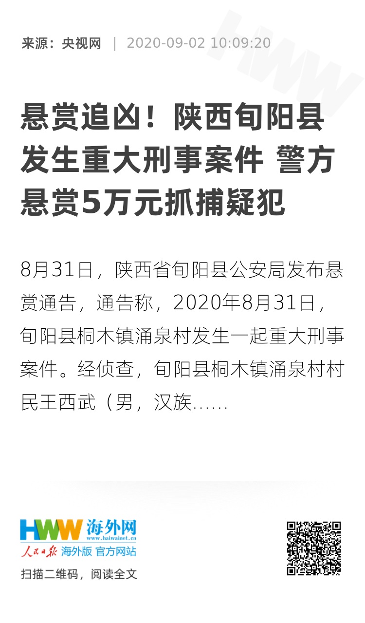 旬阳最新案件深度探讨与分析